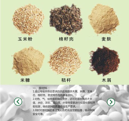 食用菌用臭氧發(fā)生器生產(chǎn)流程